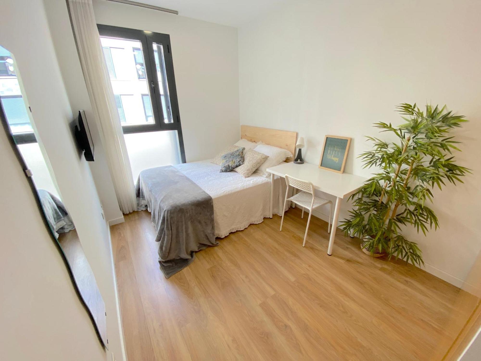 Apartment Premium Serenity